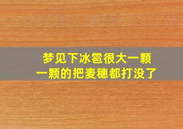 梦见下冰雹很大一颗一颗的把麦穗都打没了