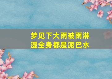 梦见下大雨被雨淋湿全身都是泥巴水