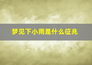 梦见下小雨是什么征兆