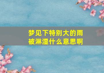 梦见下特别大的雨被淋湿什么意思啊