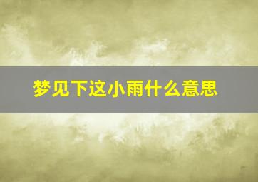 梦见下这小雨什么意思