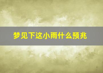 梦见下这小雨什么预兆