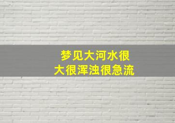 梦见大河水很大很浑浊很急流