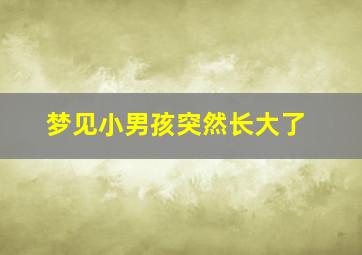 梦见小男孩突然长大了