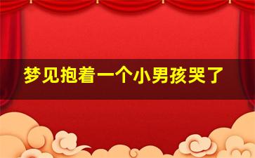 梦见抱着一个小男孩哭了