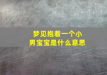 梦见抱着一个小男宝宝是什么意思