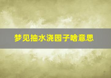 梦见抽水浇园子啥意思