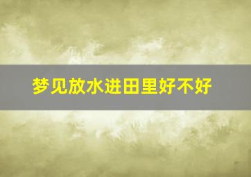 梦见放水进田里好不好