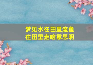 梦见水往田里流鱼往田里走啥意思啊