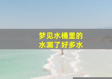 梦见水桶里的水漏了好多水