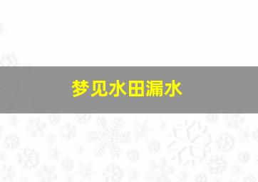 梦见水田漏水