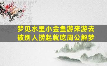 梦见水里小金鱼游来游去被别人捞起就吃周公解梦