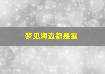 梦见海边都是雪