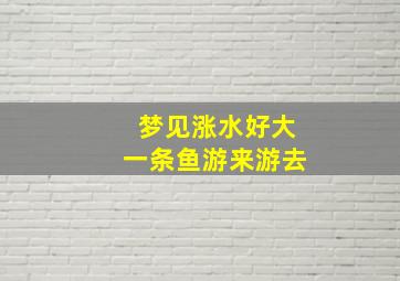 梦见涨水好大一条鱼游来游去