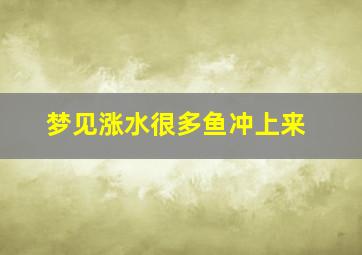 梦见涨水很多鱼冲上来