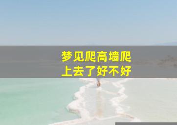 梦见爬高墙爬上去了好不好