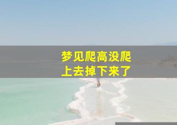 梦见爬高没爬上去掉下来了