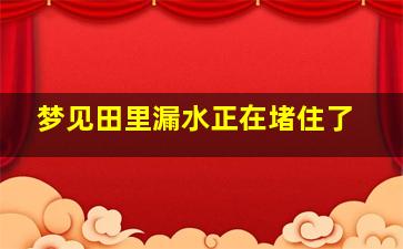 梦见田里漏水正在堵住了