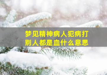 梦见精神病人犯病打别人都是血什么意思