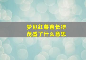 梦见红薯苗长得茂盛了什么意思