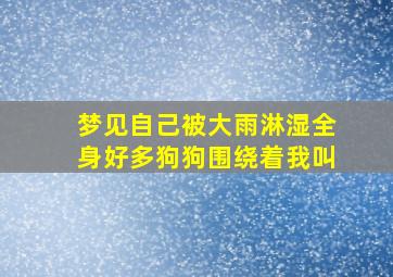 梦见自己被大雨淋湿全身好多狗狗围绕着我叫