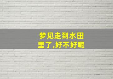 梦见走到水田里了,好不好呢