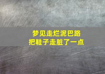 梦见走烂泥巴路把鞋子走脏了一点