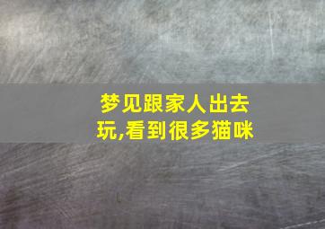 梦见跟家人出去玩,看到很多猫咪