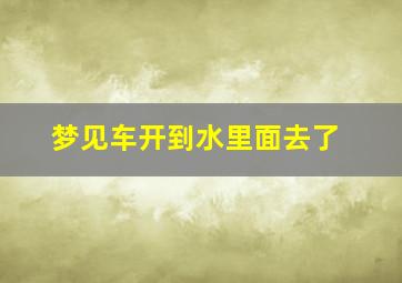 梦见车开到水里面去了