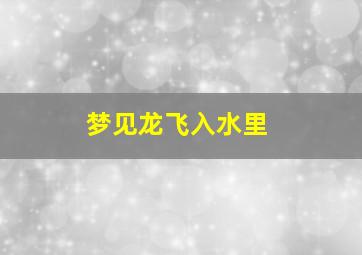 梦见龙飞入水里