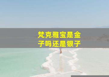 梵克雅宝是金子吗还是银子