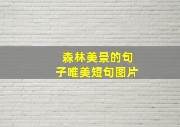 森林美景的句子唯美短句图片