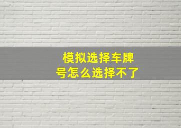 模拟选择车牌号怎么选择不了