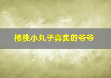 樱桃小丸子真实的爷爷