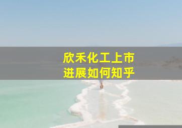 欣禾化工上市进展如何知乎