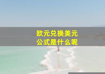 欧元兑换美元公式是什么呢