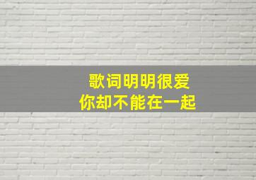 歌词明明很爱你却不能在一起