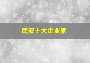 武安十大企业家