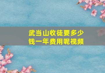 武当山收徒要多少钱一年费用呢视频