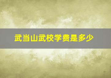 武当山武校学费是多少