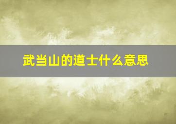 武当山的道士什么意思