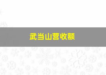 武当山营收额