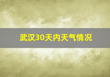 武汉30天内天气情况