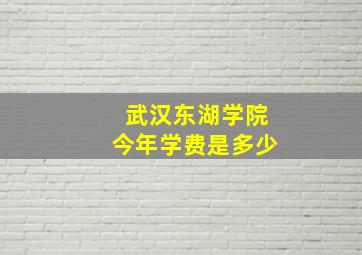 武汉东湖学院今年学费是多少