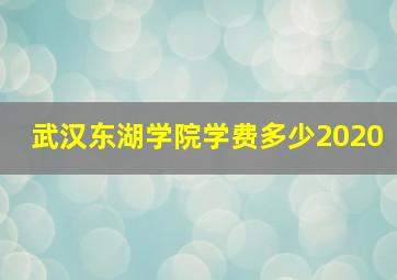 武汉东湖学院学费多少2020