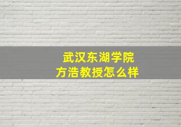 武汉东湖学院方浩教授怎么样