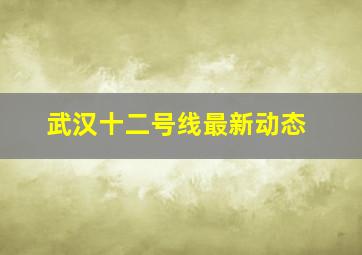 武汉十二号线最新动态