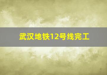 武汉地铁12号线完工