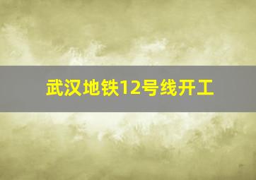 武汉地铁12号线开工