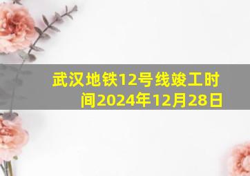 武汉地铁12号线竣工时间2024年12月28日